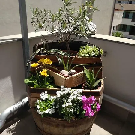 Apartament Via Ziino 70